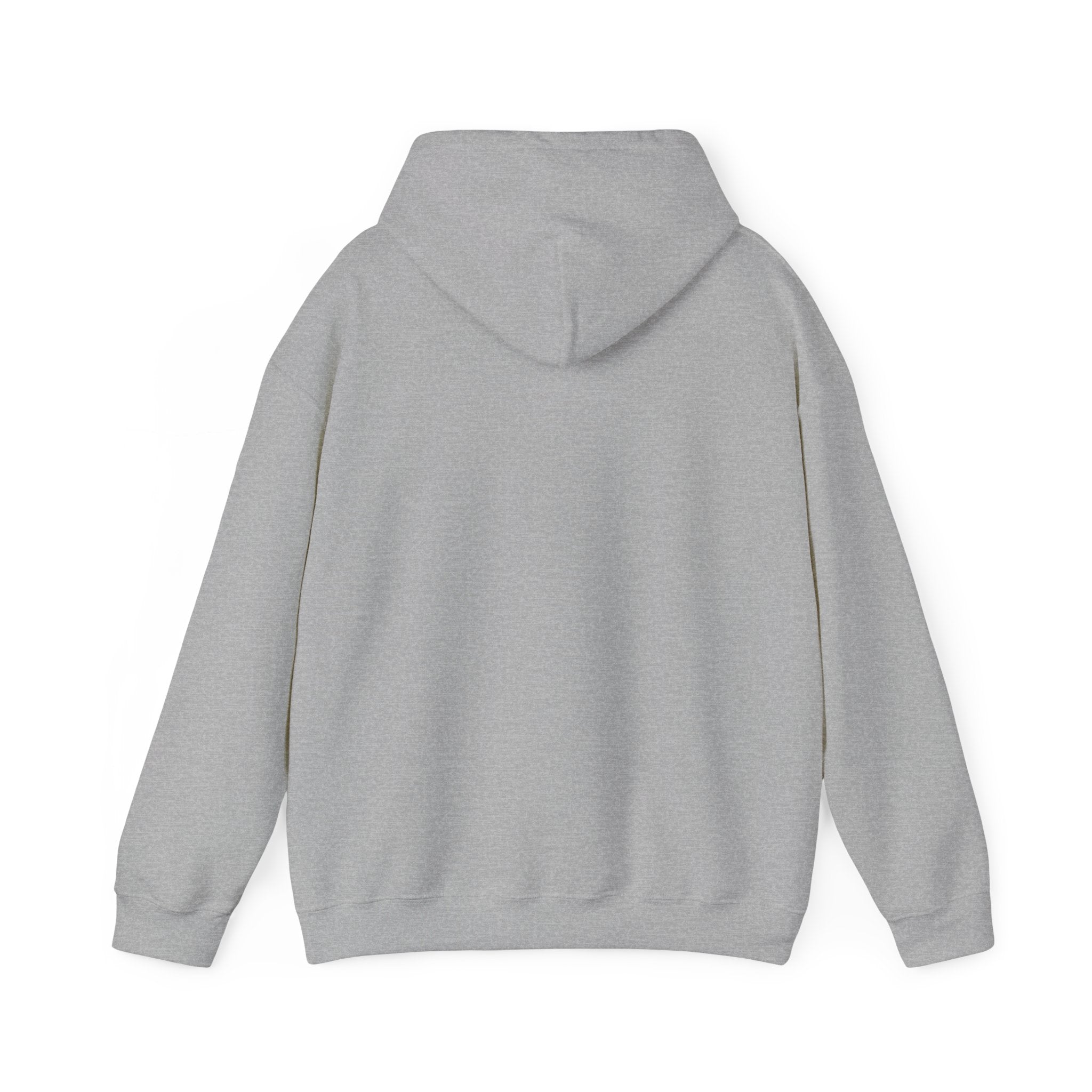 Unisex Hoodie grey