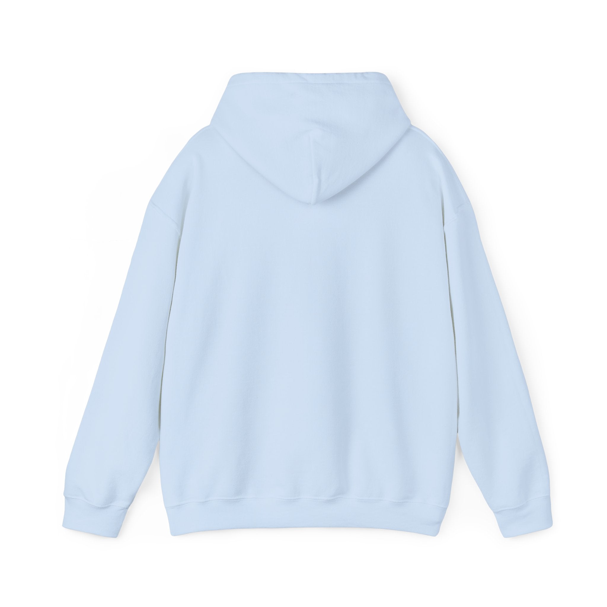 Unisex Hoodie Light Blue